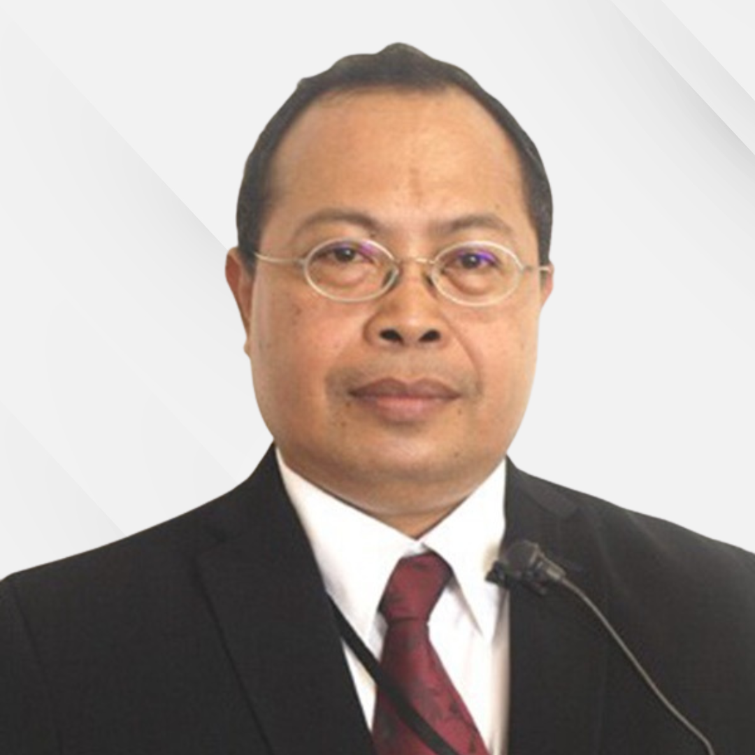 Professor Ida Bagus Wyasa Putra